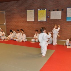 DSC 0101  Medium - Judoclub Zaventem 